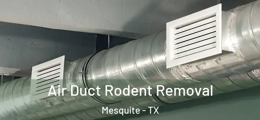 Air Duct Rodent Removal Mesquite - TX