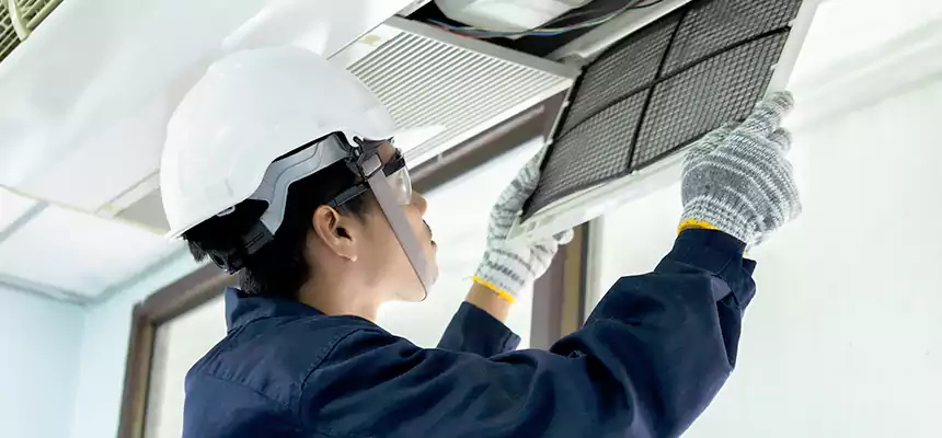 Our Mold & Mildew Removal from Air Ducts Services in Mesquite, TX