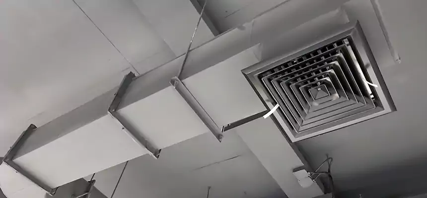 Our Pest Removal From Ducts Services in Mesquite, TX