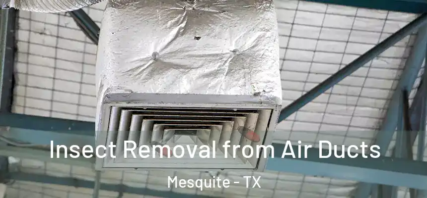 Insect Removal from Air Ducts Mesquite - TX