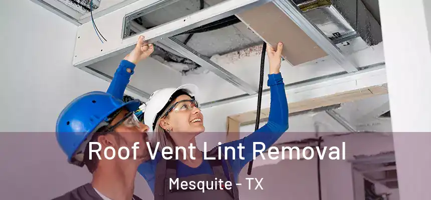 Roof Vent Lint Removal Mesquite - TX