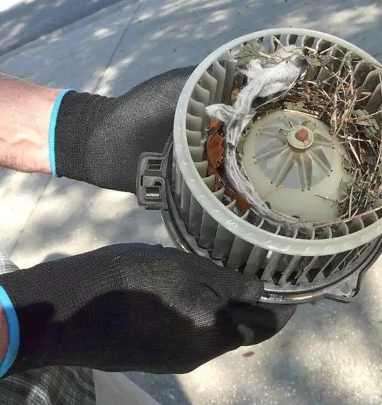 About Air Duct Mice Removal in Mesquite, TX