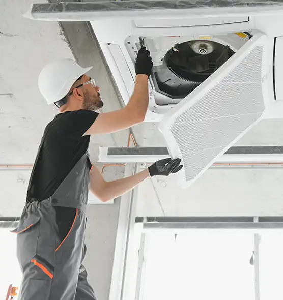 About Air Duct Rodent Removal in Mesquite, TX