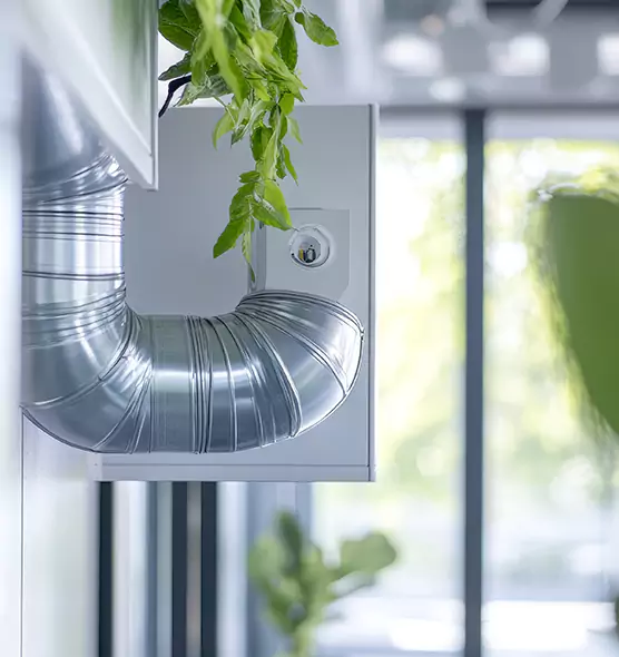 Professional Eco-Friendly Duct Cleaning Services in Mesquite, TX