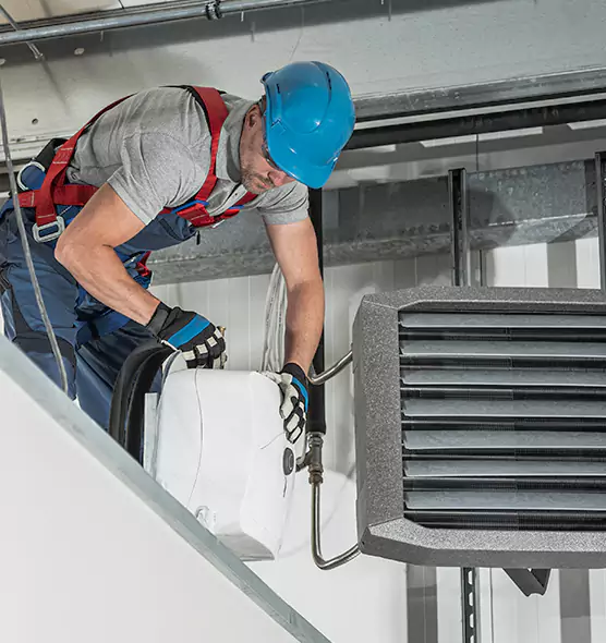 About HVAC Mold Remediation Service in Mesquite, TX