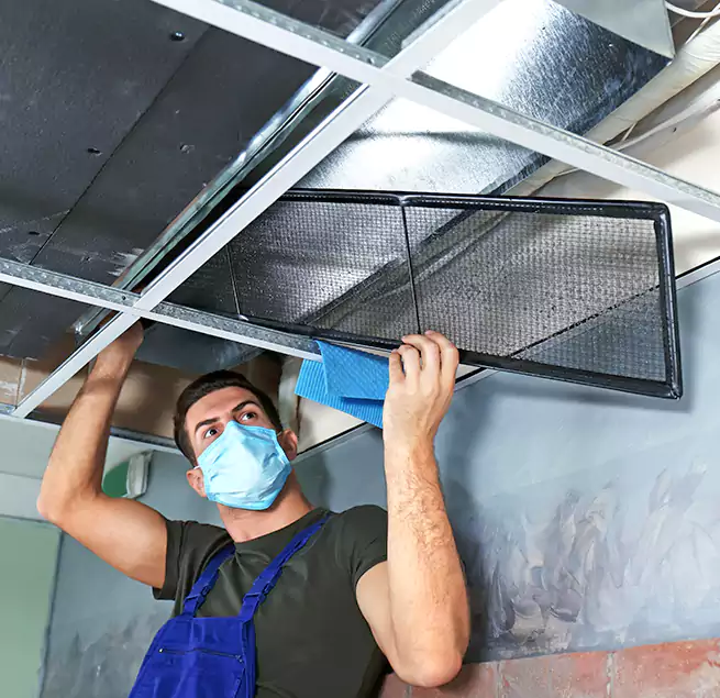 Why Homeowners Businesses Trust Us in Mesquite, TX